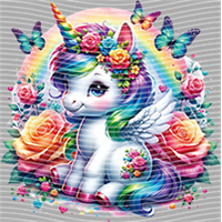 Rainbow Horse-RH 21